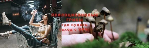 кокаин колумбия Ладушкин