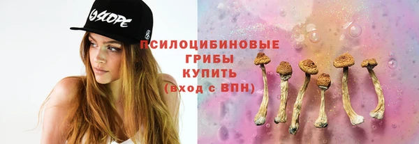 молекула духа Россошь